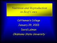 Integrated%20Resource%20Management