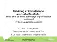 Udvikling af inkluderende gr PowerPoint PPT Presentation