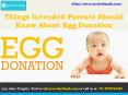 Few Things Intended Parents Should Know About Egg Donation PowerPoint PPT Presentation