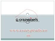 Ip camera security software