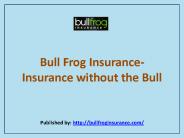 Insurance Without The Bull
