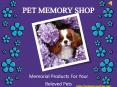 Buy Unique Pet Memorial Jewelry From Pet Memory Shop