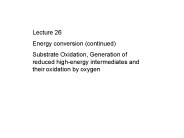 Energy conversion (continued)