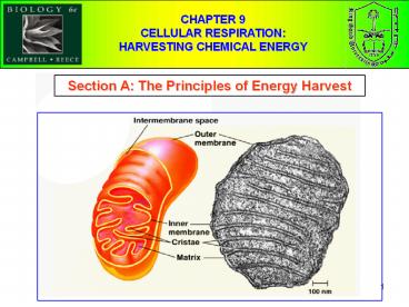 Section A: The Principles of Energy Harvest