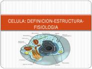 CELULA: DEFINICION-ESTRUCTURA-FISIOLOGIA