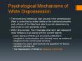 Psychological Mechanisms of White Dispossession PowerPoint PPT Presentation