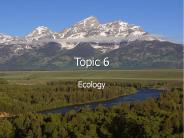 Ecology
