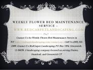 Weekly Flower Bed Maintenance Service - www.redcarpetlandscaping.com