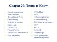 Chapter 20: Terms to Know PowerPoint PPT Presentation