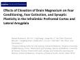 Effects of Elevation of Brain Magnesium on Fear Conditioning, Fear Extinction, and Synaptic Plasticity in the Infralimbic Prefrontal Cortex and Lateral Amygdala PowerPoint PPT Presentation