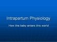 Intrapartum Physiology PowerPoint PPT Presentation