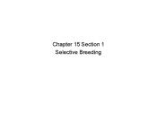 Chapter 15 Section 1