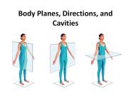 Body Planes, Directions, and Cavities