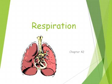 Respiration