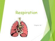 Respiration