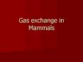 Gas exchange in Mammals PowerPoint PPT Presentation