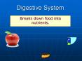 Digestive System PowerPoint PPT Presentation
