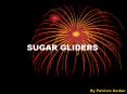 SUGAR GLIDERS PowerPoint PPT Presentation