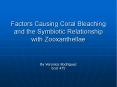 Factors Causing Coral Bleaching and the Symbiotic Relationship with Zooxanthellae PowerPoint PPT Presentation