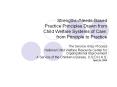 Strengths-/Needs-Based Practice Principles Drawn from Child Welfare Systems of Care: from Principle to Practice PowerPoint PPT Presentation