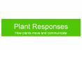 Plant Responses PowerPoint PPT Presentation