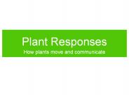 Plant Responses