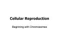 Cellular Reproduction PowerPoint PPT Presentation