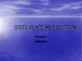 STEEL PLATE AND SECTION PowerPoint PPT Presentation