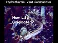 Hydrothermal%20Vent%20Communities PowerPoint PPT Presentation
