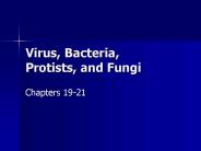 Virus, Bacteria, Protists, and Fungi