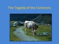 The Tragedy of the Commons PowerPoint PPT Presentation