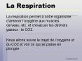 La Respiration PowerPoint PPT Presentation