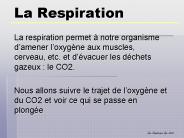 La Respiration