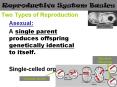 Types of Reproduction PowerPoint PPT Presentation