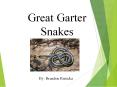 Great Garter Snakes PowerPoint PPT Presentation