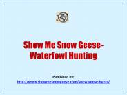 Waterfowl Hunting