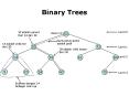 Binary Trees PowerPoint PPT Presentation