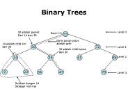 Binary Trees