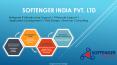 Softenger Enterprise IT Infrastructure Support & Management Services PowerPoint PPT Presentation