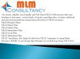 MLM software in india (1) PowerPoint PPT Presentation