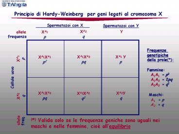 Nessun titolo diapositiva