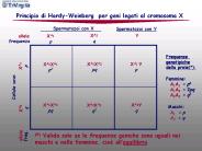 Nessun titolo diapositiva