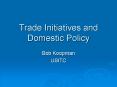 Trade Initiatives and Domestic Policy PowerPoint PPT Presentation
