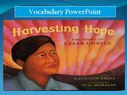 Vocabulary PowerPoint