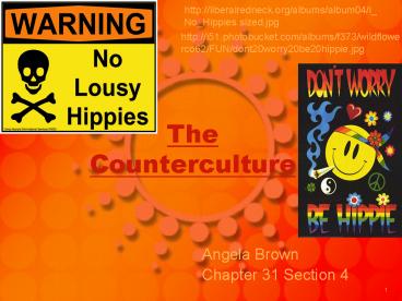 The Counterculture
