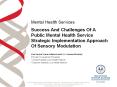 Success And Challenges Of A Public Mental Health Service Strategic Implementation Approach Of Sensory Modulation PowerPoint PPT Presentation