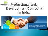 Professional web development company india.