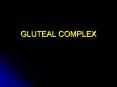 GLUTEAL COMPLEX PowerPoint PPT Presentation