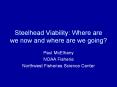 Steelhead%20Viability:%20Where%20are%20we%20now%20and%20where%20are%20we%20going? PowerPoint PPT Presentation