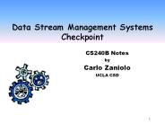 Data Stream Management Systems Checkpoint